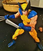 Marvel Universe Classics Wolverine- Round 2 (DC Universe) Custom Action Figure