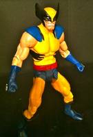 Marvel Universe Classics Wolverine- Round 2 (DC Universe) Custom Action Figure