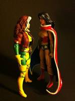 Wonder Woman (DC Infinite Heroes) Custom Action Figure