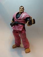SF4 Dan (Street Fighter) Custom Action Figure