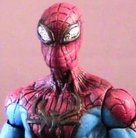 Spider-Man (Spider-Man) Custom Action Figure