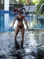 Summer Lovin' Harley Quinn (DC Universe) Custom Action Figure