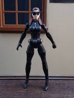 Catwoman Fully Articulable (Dark Knight Rises) (Batman) Custom Action Figure