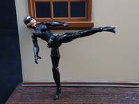 Catwoman Fully Articulable (Dark Knight Rises) (Batman) Custom Action Figure