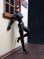 Catwoman Fully Articulable (Dark Knight Rises) (Batman) Custom Action Figure