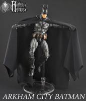 Batman Arkham City (Batman - Arkham City) Custom Action Figure