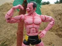 Swimmy Time Sinestro (Swinestro) (Sinestro Corps) Custom Action Figure