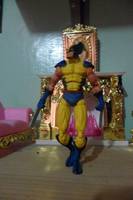 Wolverine (X-Men) Custom Action Figure