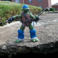 Venus (Teenage Mutant Ninja Turtles) Custom Action Figure