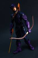 Hawkeye/Dark Hawkeye (Marvel Legends) Custom Action Figure