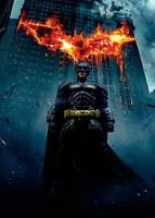 Batman from the Dark Knight (Movie Maniacs) Custom Action Figure