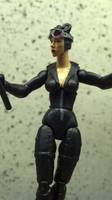 Catwoman (DC Infinite Heroes) Custom Action Figure