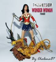 Injustice WONDER WOMAN Remodel (Wonder Woman) Custom Action Figure