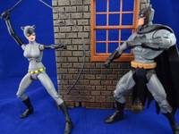 Catwoman (Batman the Animated Series Style) (DC Universe) Custom Action Figure