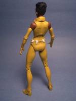 DC Classics Vixen (DC Universe) Custom Action Figure