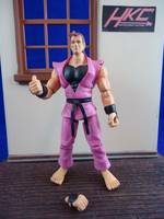 Dan (3 3/4 Inch Scale Jazwares) (Street Fighter) Custom Action Figure