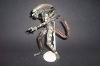 S'loss II (Alien vs Predator) Custom Action Figure