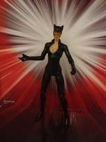 Catwoman (DC Universe) Custom Action Figure