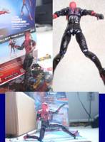 Alex Ross (Amazing Spider-Man) (Spider-Man) Custom Action Figure