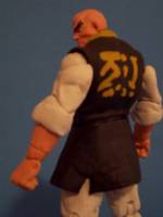 Retsu (Street Fighter) Custom Action Figure