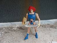 Lion O Thundercats (Thundercats) Custom Action Figure