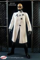 Hugo Strange Arkham Asylum (DC Universe) Custom Action Figure