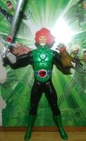 Green Lantern Lion-O (Green Lantern) Custom Action Figure
