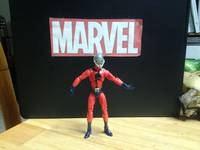 Antman (Marvel Universe) Custom Action Figure