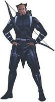 Merlyn the Archer (DC Universe) Custom Action Figure