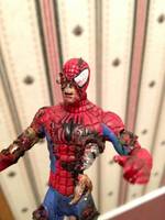 Zombie Spider-Man (Marvel) Custom Action Figure