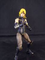 Black Canary (DC Universe) Custom Action Figure