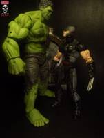 Wolverine:Avengers Expanded (Avengers) Custom Action Figure