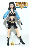 Wonder Woman in the 90's Diana Prince (Wonder Woman) Custom Action Figure