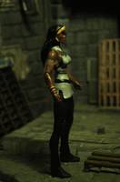 Yj Queen Bee (DC Universe) Custom Action Figure