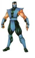 Mortal Kombat Sub-Zero ( Bi Han ) (Mortal Kombat) Custom Action Figure