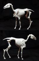 Caretaker & Ghost Rider Horse (Ghost Rider) Custom Action Figure