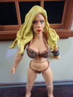 Shanna the She-Devil (V 2.0) (Marvel Universe) Custom Action Figure