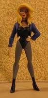 Black Canary (Justice League Unlimited) Custom Action Figure