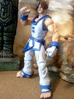 Kim Kaphwan (Fatal Fury) Custom Action Figure
