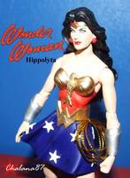 Wonder Woman Hippolyta (Wonder Woman) Custom Action Figure