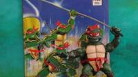 Michael Dooney Leonardo (Teenage Mutant Ninja Turtles) Custom Action Figure