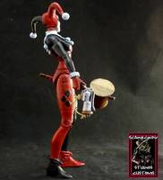 Harley Quinn (DC Universe) Custom Action Figure
