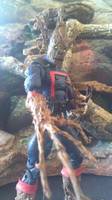 Groot (Marvel Legends) Custom Action Figure