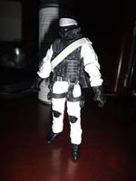 Artic Snake Eyes (G.I. Joe Rise of Cobra) Custom Action Figure
