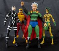 DC Granny Goodness (DC Universe) Custom Action Figure