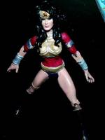 Wonder Woman (DC Universe) Custom Action Figure