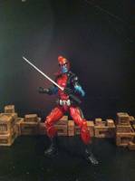 Champion of the Universe (Championpool) (Marvel Legends) Custom Action Figure