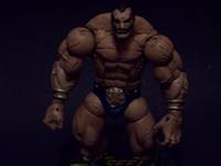 Darun Mister (Street Fighter) Custom Action Figure
