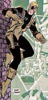 TARANTULA John Law from the All-Star Squadron (DC Universe) Custom Action Figure