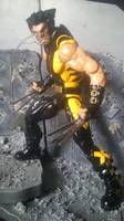 Wolverine (Marvel Legends) Custom Action Figure